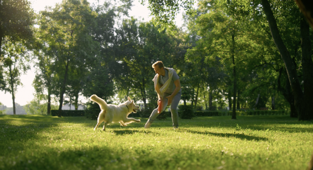 Video Suki - Agencia FlandecocoLab